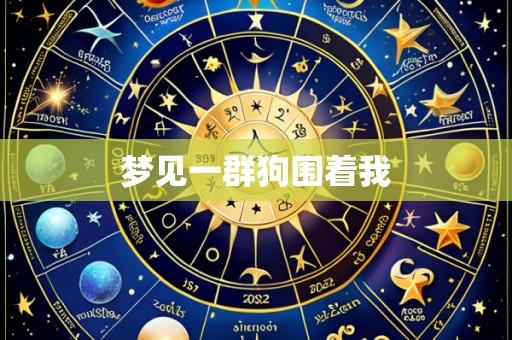 梦见一群狗围着我