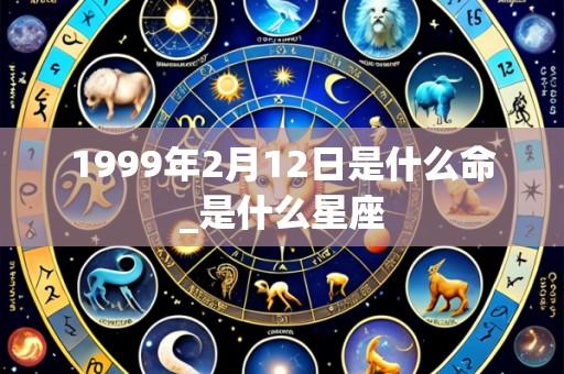 1999年2月12日是什么命_是什么星座