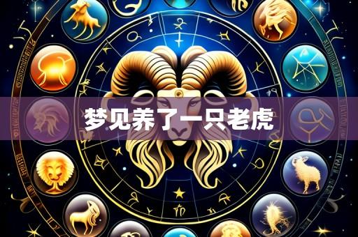 梦见养了一只老虎