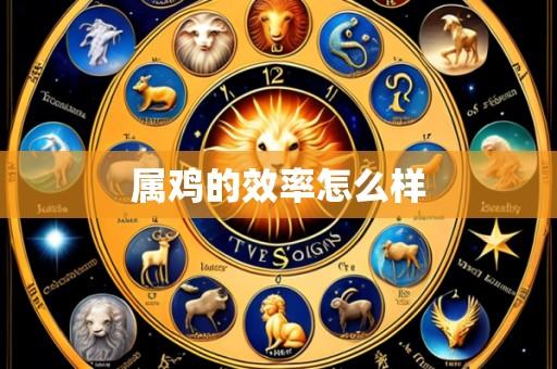 属鸡的效率怎么样