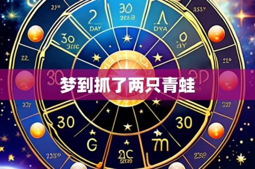梦到抓了两只青蛙