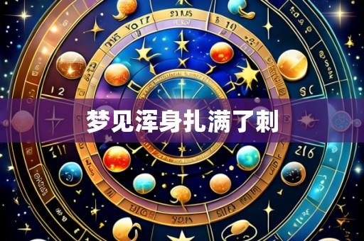 梦见浑身扎满了刺