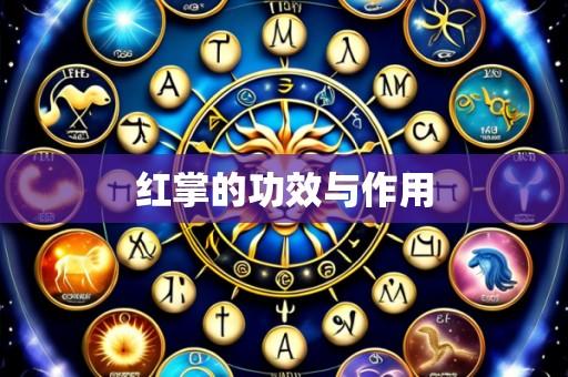 红掌的功效与作用