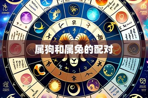 属狗和属兔的配对