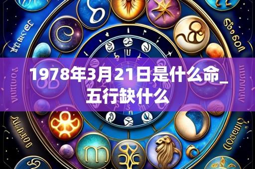 1978年3月21日是什么命_五行缺什么