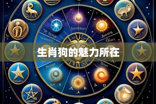 生肖狗的魅力所在