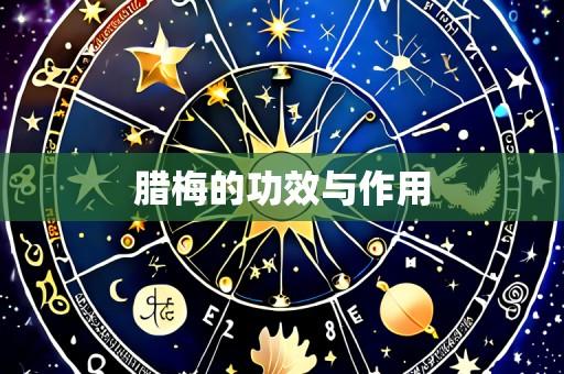 腊梅的功效与作用