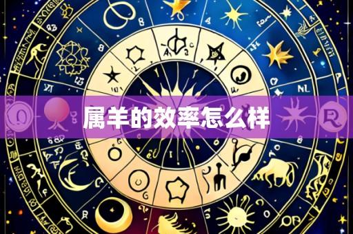 属羊的效率怎么样