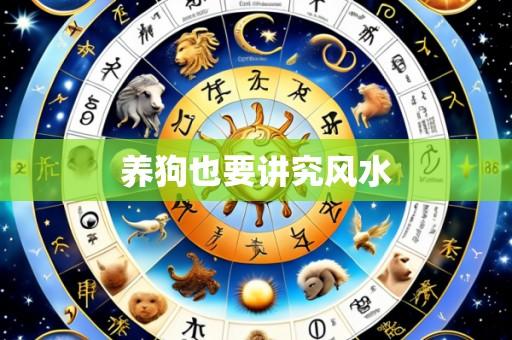 养狗也要讲究风水
