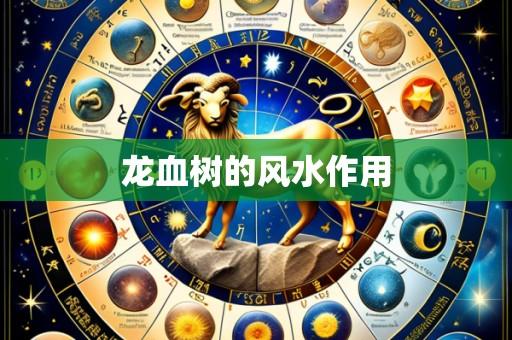 龙血树的风水作用