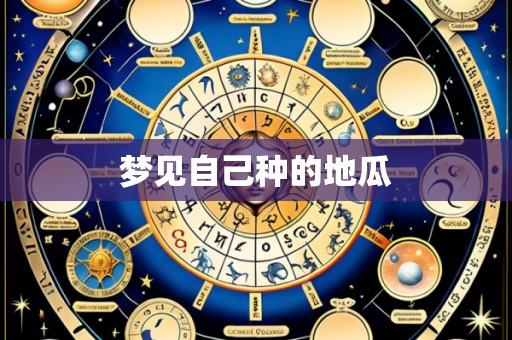 梦见自己种的地瓜