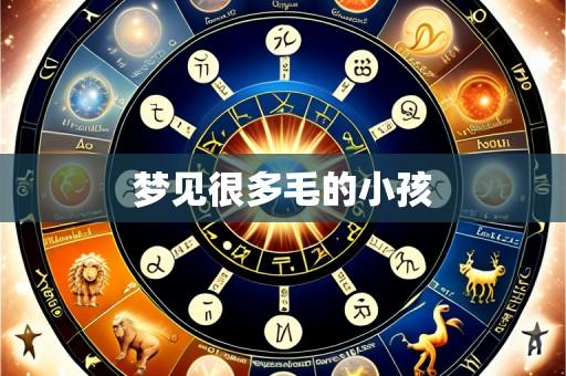 梦见很多毛的小孩