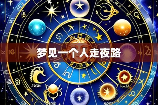 梦见一个人走夜路