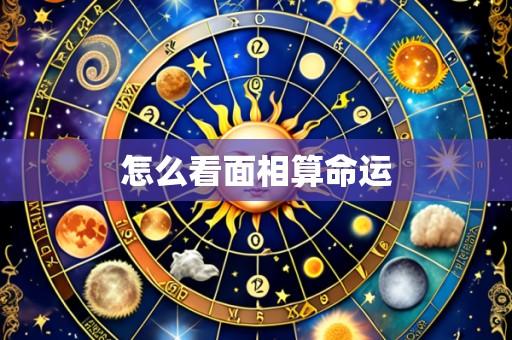 怎么看面相算命运