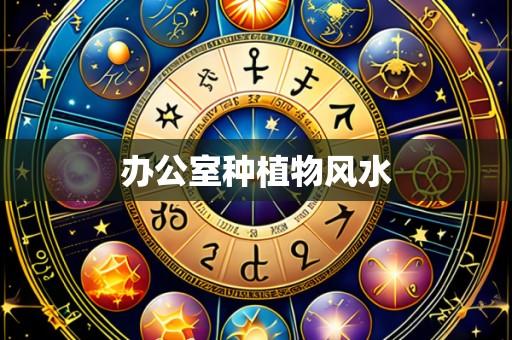 办公室种植物风水