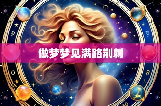 做梦梦见满路荆刺