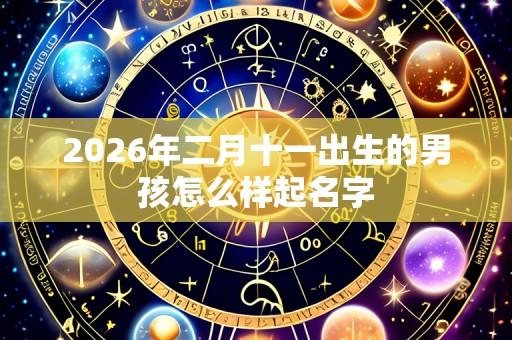 2026年二月十一出生的男孩怎么样起名字