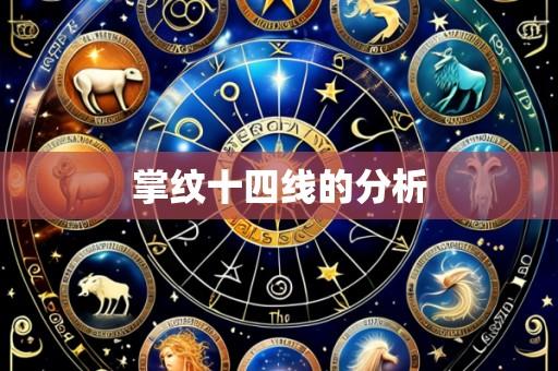 掌纹十四线的分析