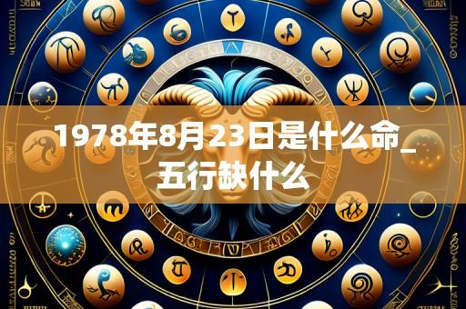 1978年8月23日是什么命_五行缺什么