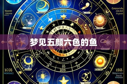 梦见五颜六色的鱼