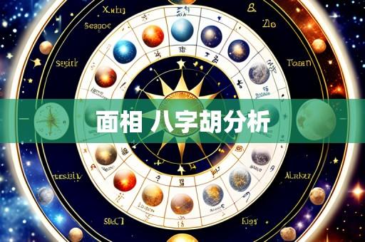 面相 八字胡分析