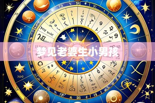 梦见老婆生小男孩
