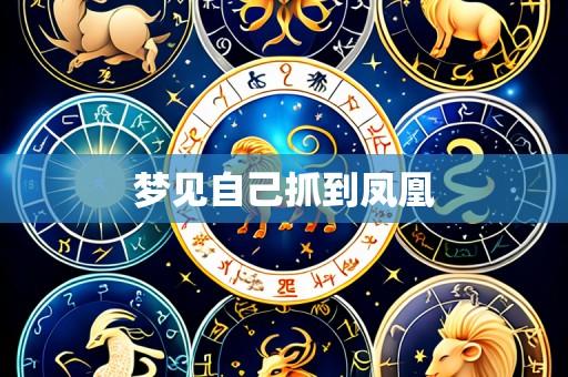 梦见自己抓到凤凰