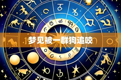 梦见被一群狗追咬