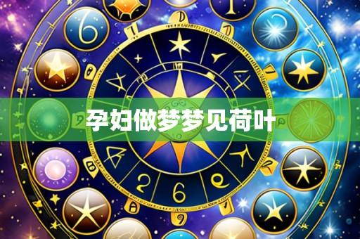 孕妇做梦梦见荷叶