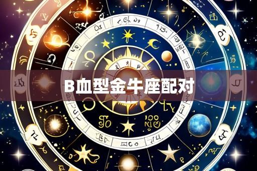 B血型金牛座配对