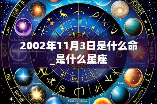 2002年11月3日是什么命_是什么星座