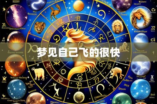 梦见自己飞的很快