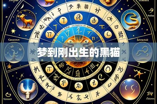 梦到刚出生的黑猫