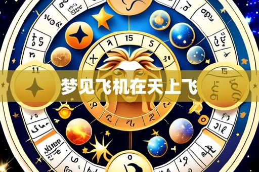 梦见飞机在天上飞