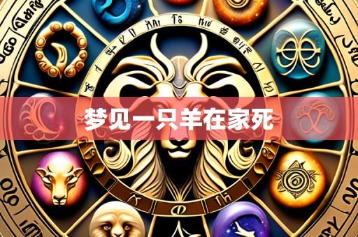 梦见一只羊在家死