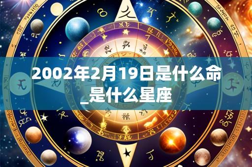 2002年2月19日是什么命_是什么星座