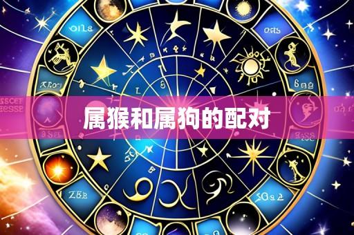 属猴和属狗的配对