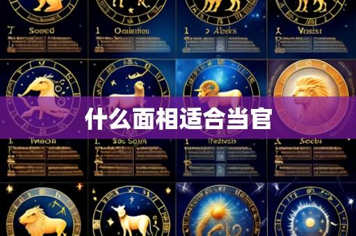 什么面相适合当官