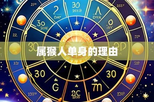 属猴人单身的理由