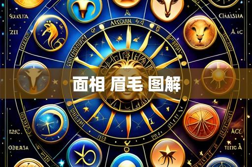 面相 眉毛 图解