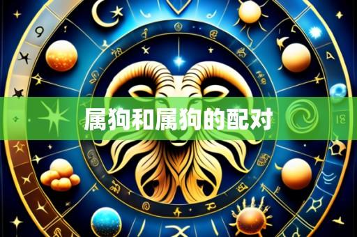属狗和属狗的配对
