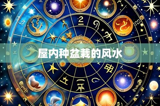 屋内种盆栽的风水
