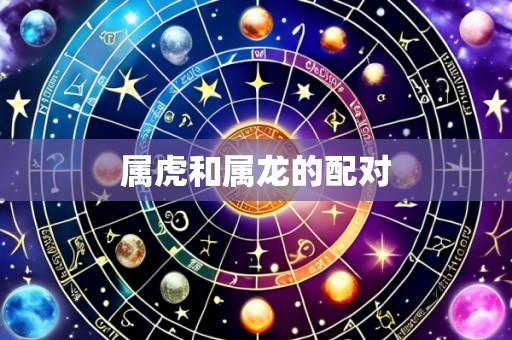 属虎和属龙的配对