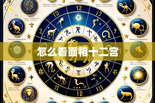 怎么看面相十二宫
