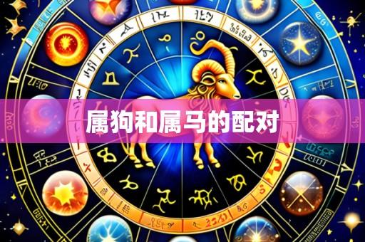 属狗和属马的配对