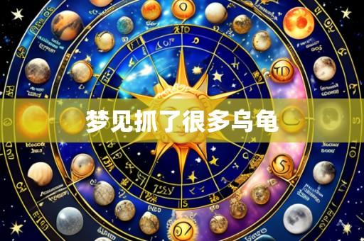 梦见抓了很多乌龟