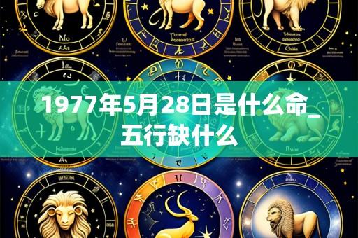 1977年5月28日是什么命_五行缺什么