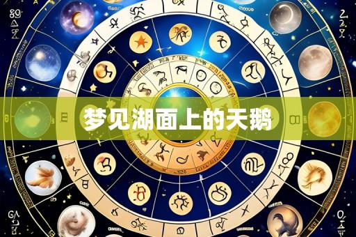 梦见湖面上的天鹅