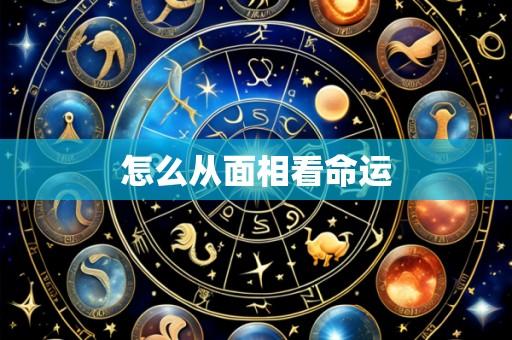 怎么从面相看命运