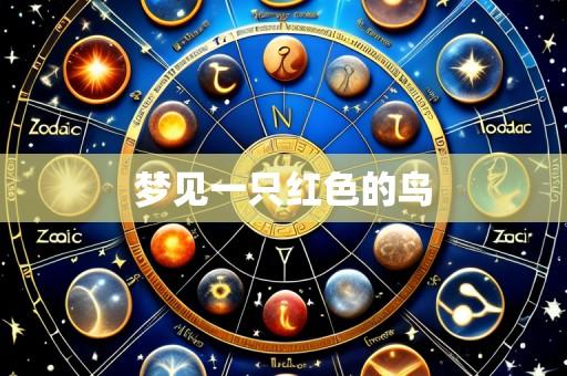 梦见一只红色的鸟
